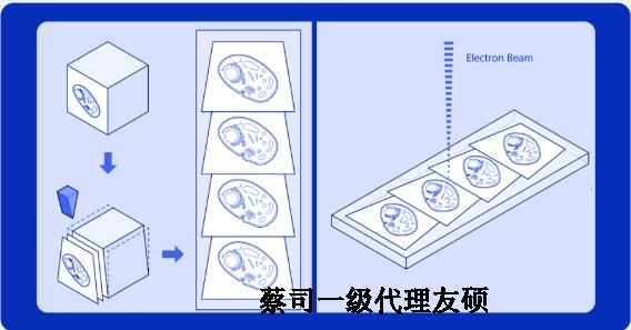 虹口蔡司虹口扫描电镜