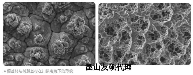 虹口蔡司虹口扫描电镜