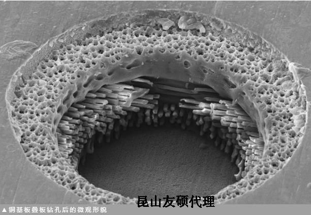 虹口蔡司虹口扫描电镜